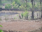 503720042008(73).JPG