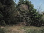 28138IMG_4960.JPG