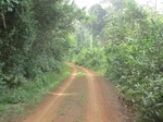 48498CIMG4835.JPG