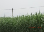33160CIMG2397.JPG