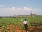 9277gt027a-cropland-rainfed-mixed-crops-sup-irrigation.gif
