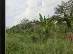 49673CIMG6010.JPG
