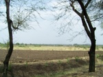 1691202052008(71).JPG