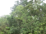 49876CIMG6213.JPG