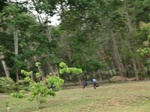 50548CIMG1177.JPG