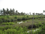 14281IMG_4621.JPG