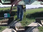 11433006-irrigated-wheat-sw-1e.jpg