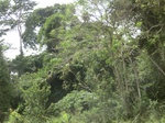 49492CIMG5829.JPG
