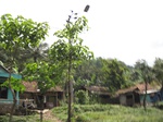 14800IMG_5193.JPG