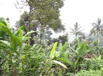 15331IMG_4170.JPG