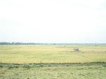 21766DSC08339.JPG