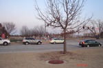 9966OU27.JPG