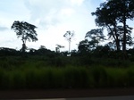 25198P1020038.JPG