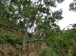 53351CIMG6642.JPG
