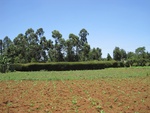 32138IMG_0562.JPG