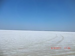 32118CIMG1443.JPG