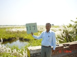 6664gt117-wetland-1.jpg