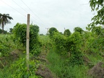 18377P1000213.JPG