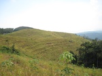 15857IMG_4398.JPG