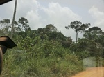 47968CIMG4305.JPG