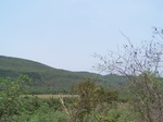 1791927042008(51).JPG