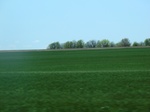 29992CIMG0682.JPG