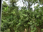 49544CIMG5881.JPG