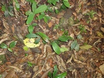 46766DSC02103.JPG