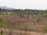 51893Tank ID 1800119 Nallahalli.JPG