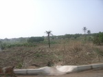4044RIMG0348.JPG