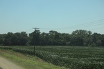 2024-06-17_21-32-57_E2390670-4C92-450A-A679-8847A1646B97.jpeg