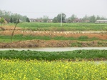 51715CIMG0688.JPG