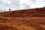 28615P1010632-1.JPG