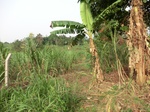 50315CIMG0944.JPG