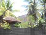 15503IMG_4573.JPG