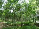 34813CIMG1462.JPG