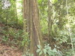 46826DSC02164.JPG