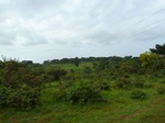 19720P1010569.JPG