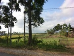 31300CIMG1162.JPG