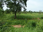 18759P1000597.JPG