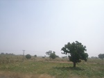 9064RIMG0144.JPG