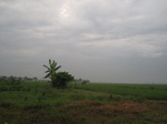14442IMG_4795.JPG
