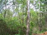 496619042008(62).JPG