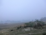 40189CIMG9086.JPG