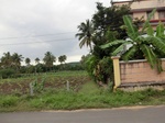 55815CIMG6449.JPG