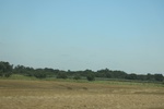 2024-06-17_21-20-48_203CB41D-ABE6-4E1F-9CC5-3E842786DC00.jpeg