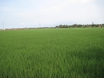 14376IMG_4718.JPG