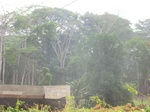 48628CIMG4965.JPG