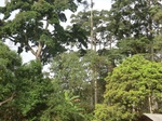 51030CIMG4367.JPG