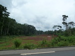 20044P1010895.JPG